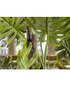 MONSTERA- PLANTA ARTIFICIAL H210